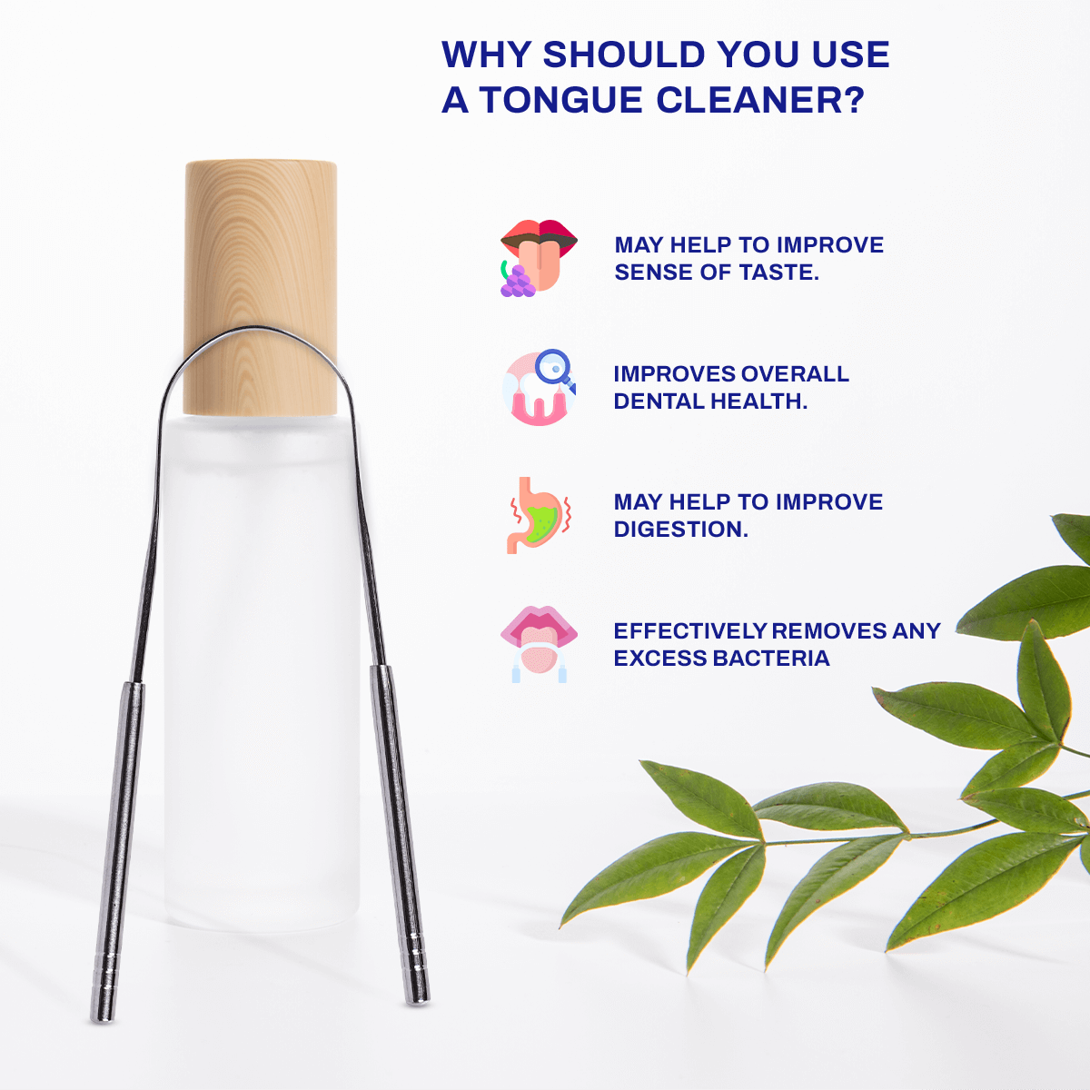 Stainless Steel Tongue Scraper - Smile Therapy
